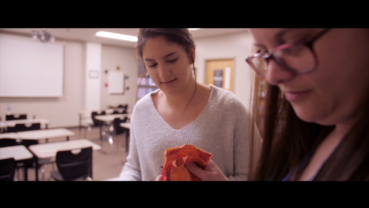 Just Food - Fighting Hunger in Douglas County
