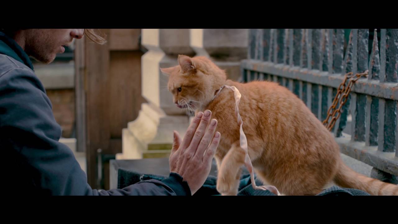 A Street Cat Named Bob - Official Trailer - Starring Luke Treadaway & Bob - At Cinemas November 4