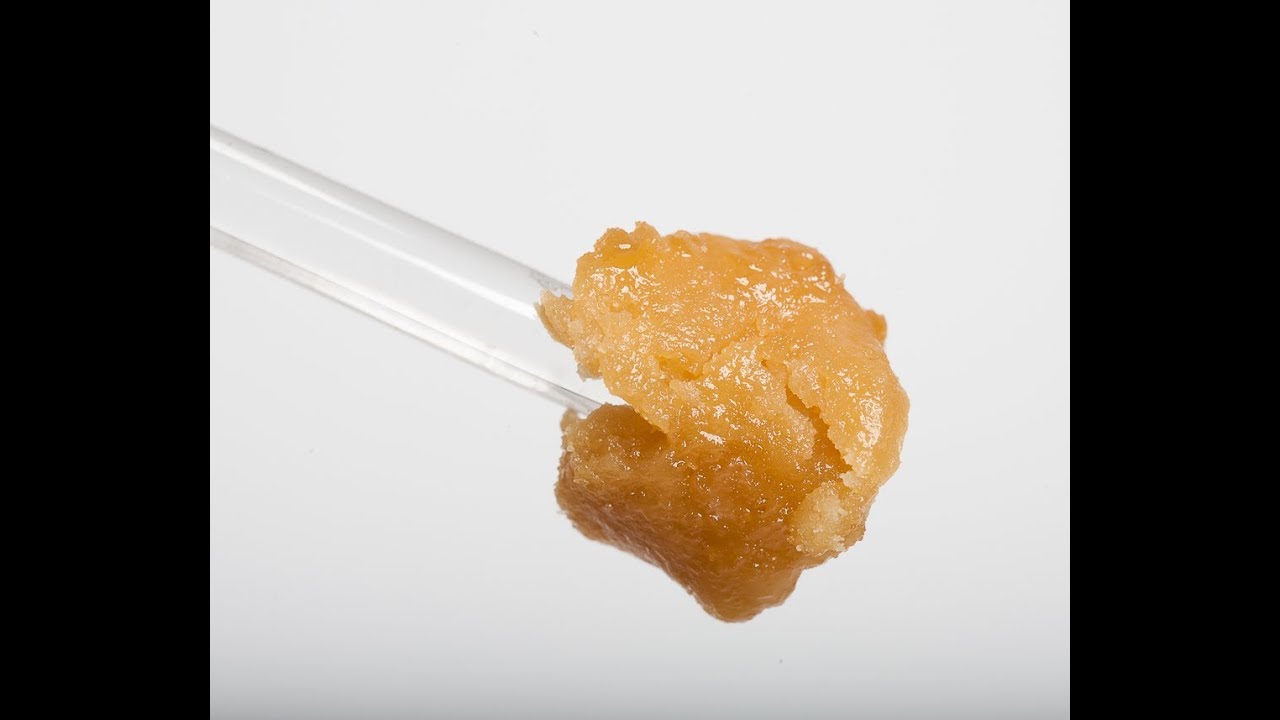 Knottyy's Dutch Treat BHO Melt Shot