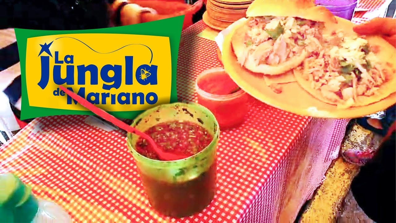 Catando tacos de carnitas