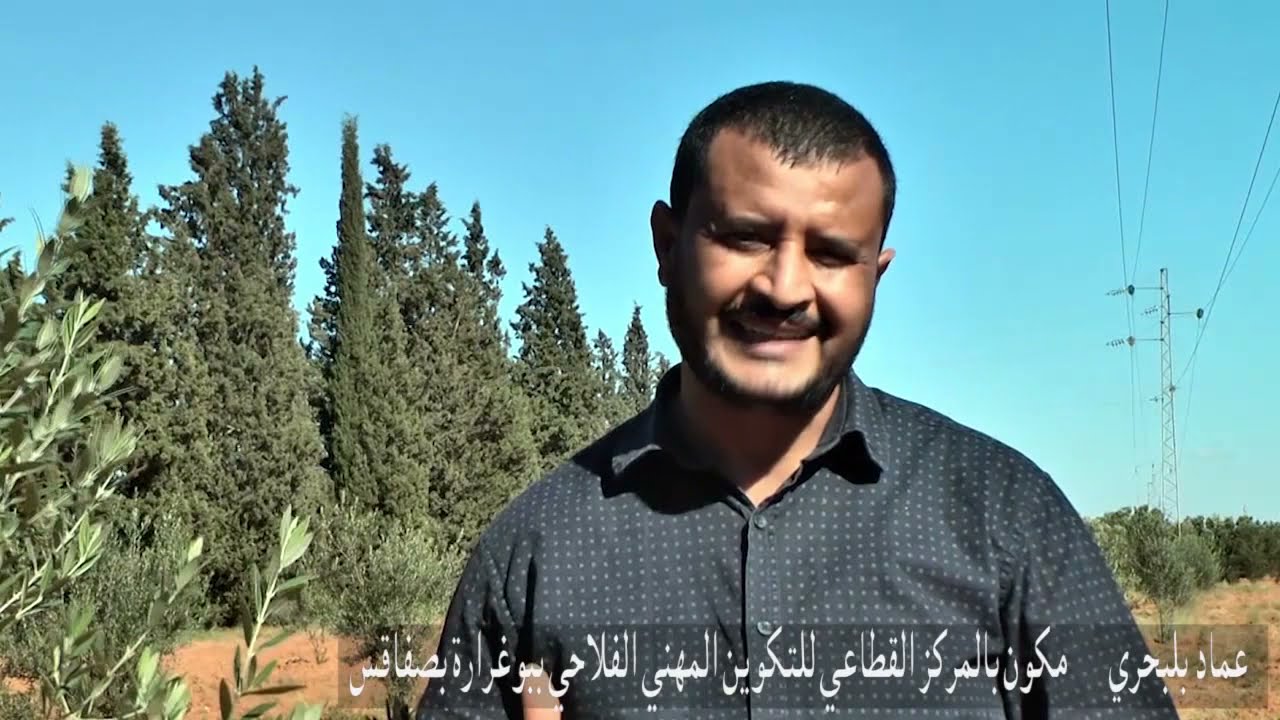 حصة تطبيقية حول تقليم أشجار الزيتون الفتية .. المكون عماد بلبحري