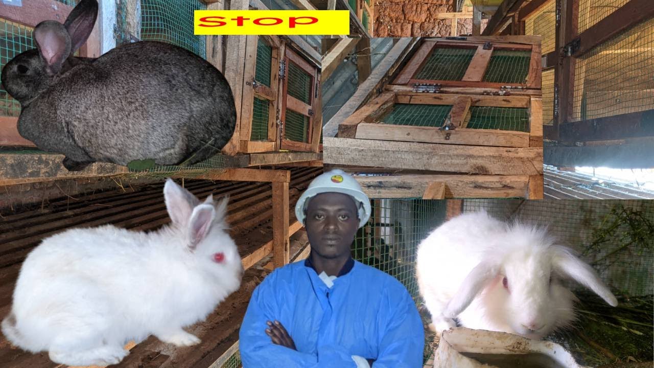 📛VIDEO:UZAHOMBA UGITANGIRA UBWOROZI BW'INKWAVU AYA MAKOSA NUTAYITONDERA KUKO BENSHI BARAYAKORA❗