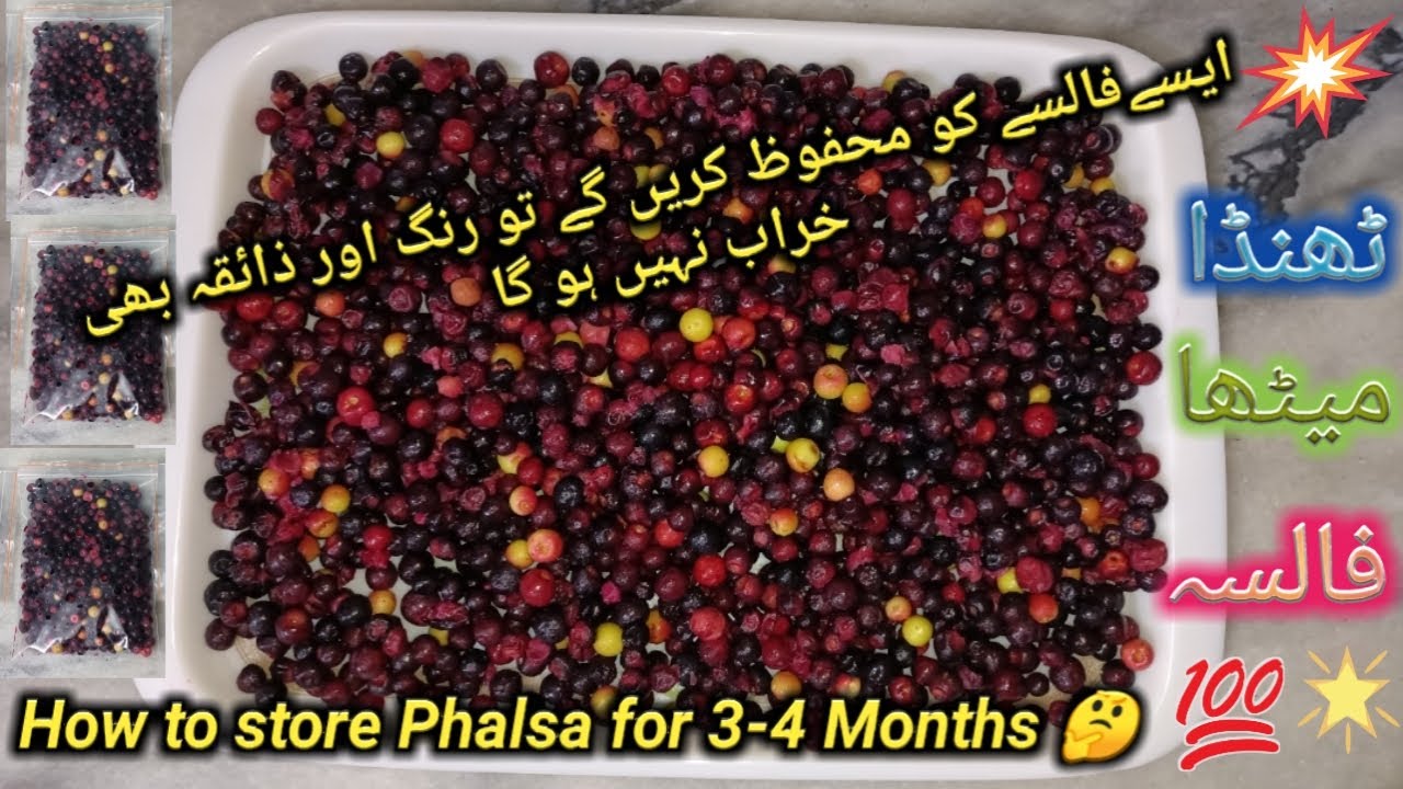 How To Freeze False For Long Time-Tips To Store Falsa(Grewia Asiatica) |Phalsa Fruit فالسے کو محفوظ