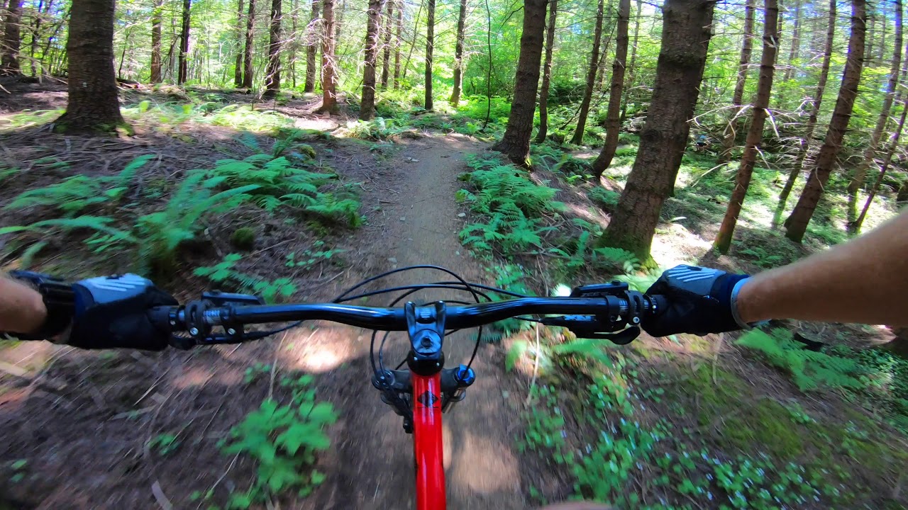 Mt Sumas Squid Line 4k stabilized