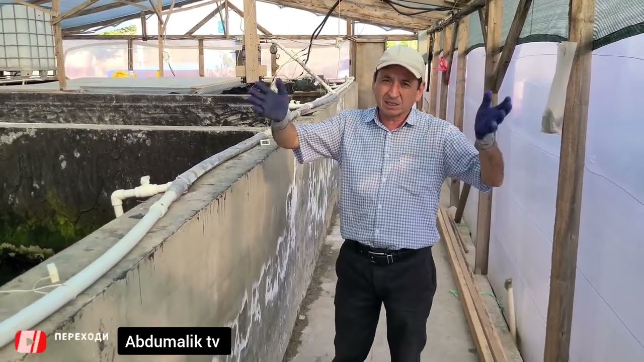 Бизнеси Мохи парвари да 2 сотих 5000$🙋🏻‍♂️ фойда