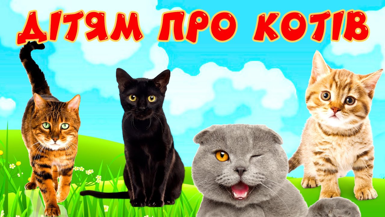 Коти та їх звуки для дітей. Навчальне відео про котів українською