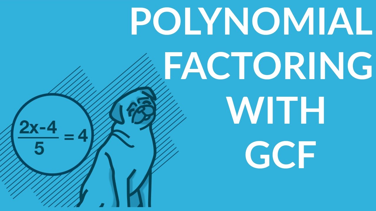 ʕ&bull;ᴥ&bull;ʔ Polynomial Factoring with the Greatest Common Factor (GCF) w/ examples 1