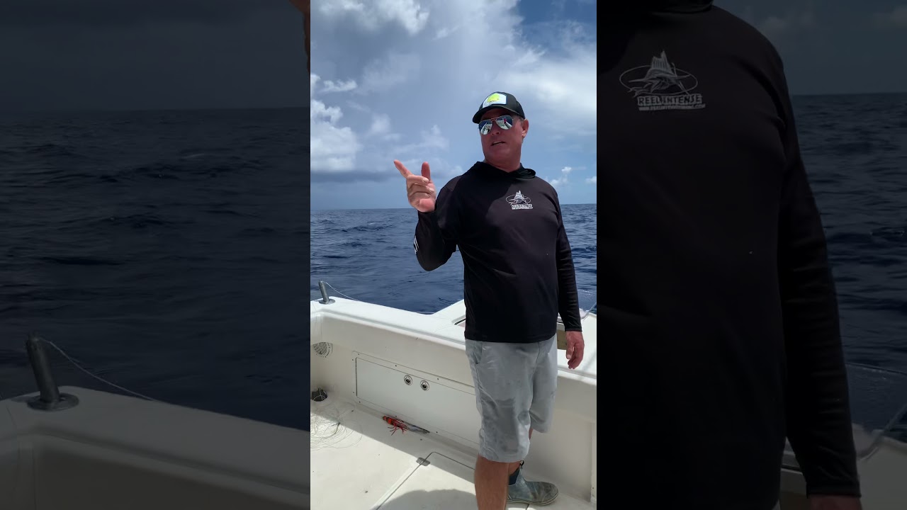 How to use swordfish Buoy rod part 1