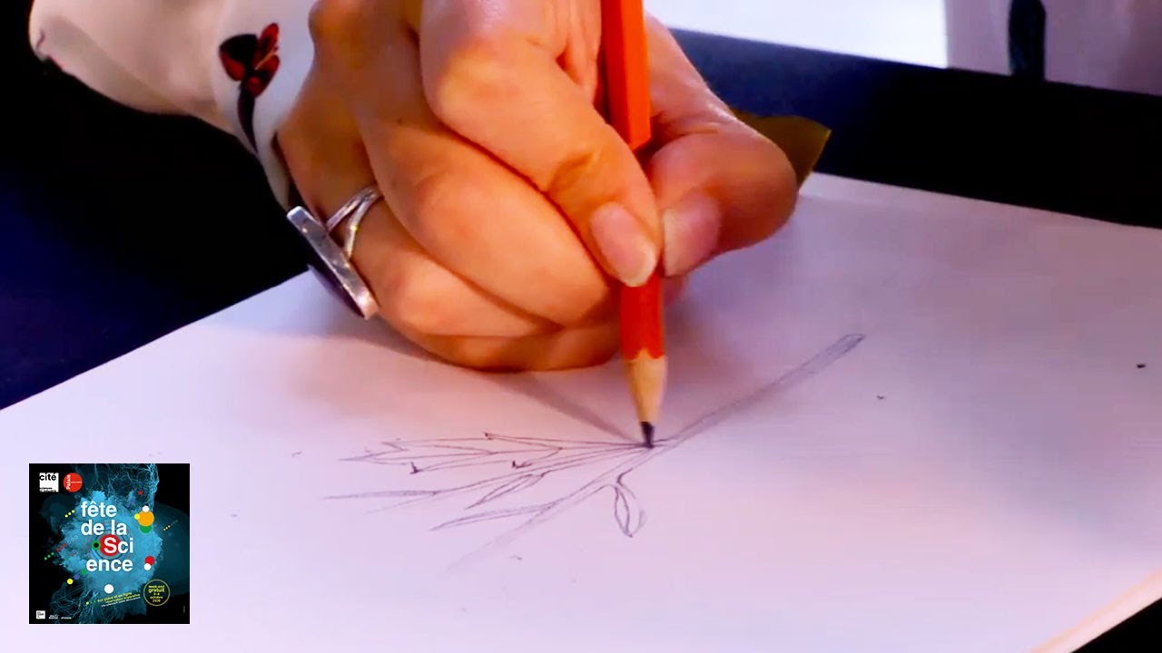 Un croquis vaut mieux qu’un long discours