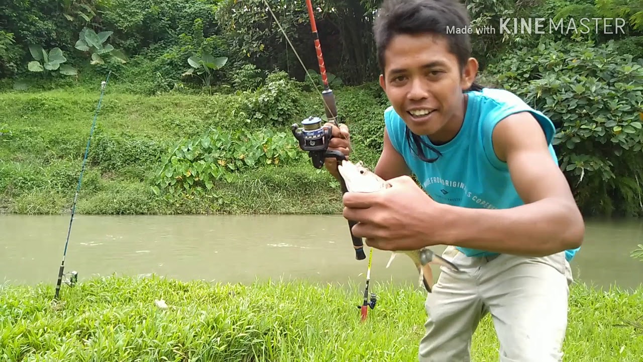 Mancing hampala di sungai wisata Armaya pancur batu medan
