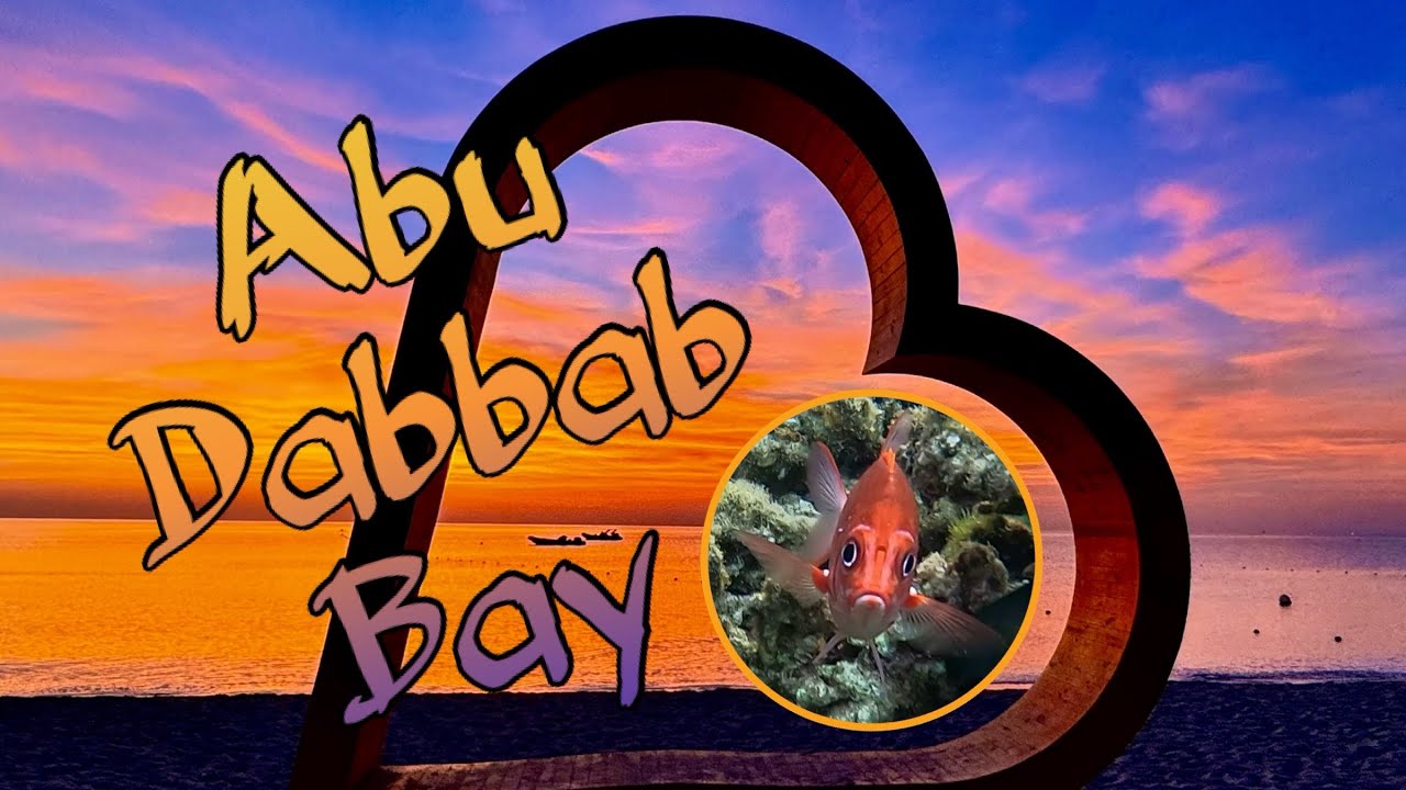 Marsa Alam- Abu Dabbab Bay                                               #sea #nature #underwater