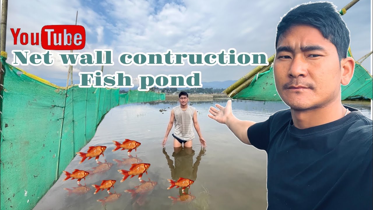 Constructing Net wall in fish pond||net se diwar banaya machli ke talab mae||​⁠​aruncachalpradesh🇮🇳