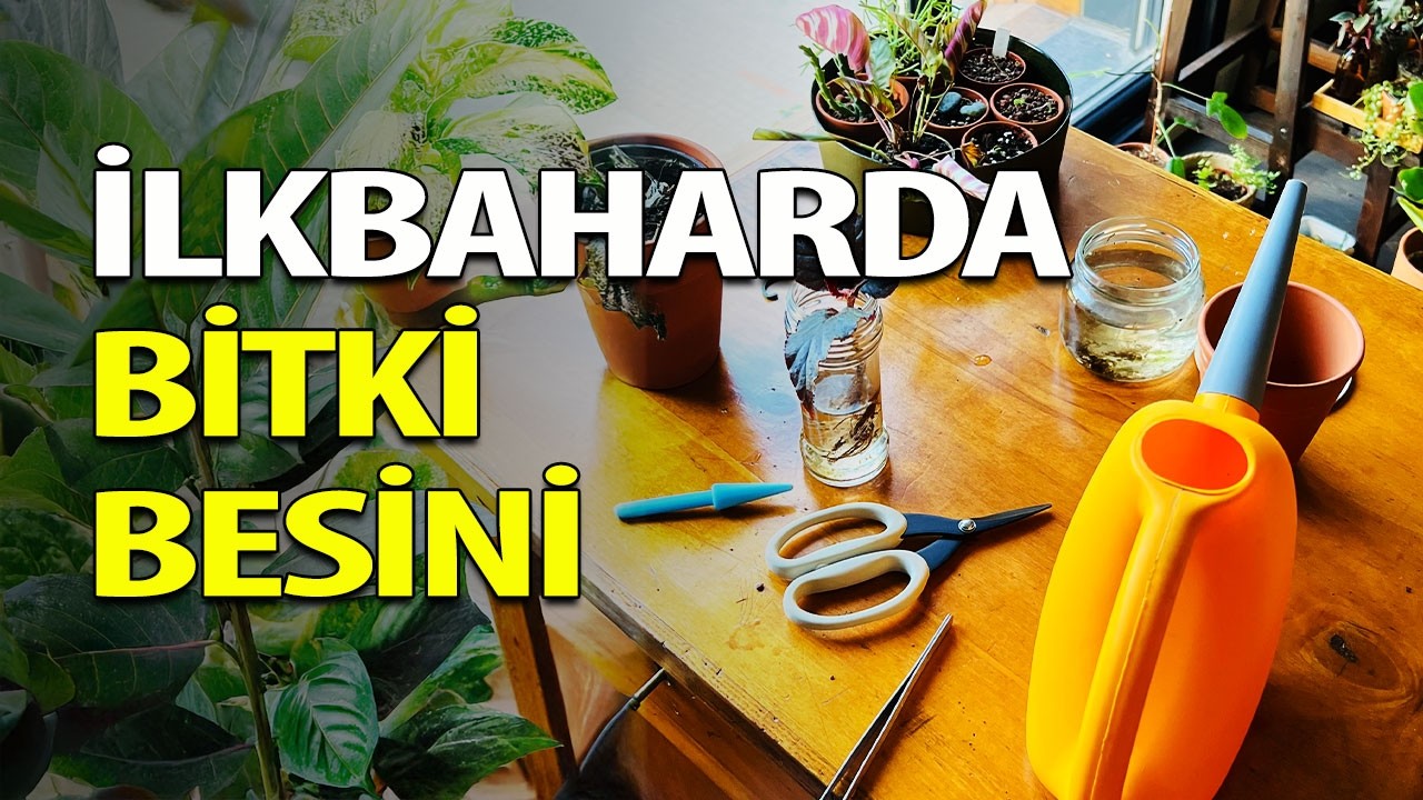 İlkbaharda Bitki Besini Uygulamasının P&uuml;f Noktaları 👩&zwj;🌾
