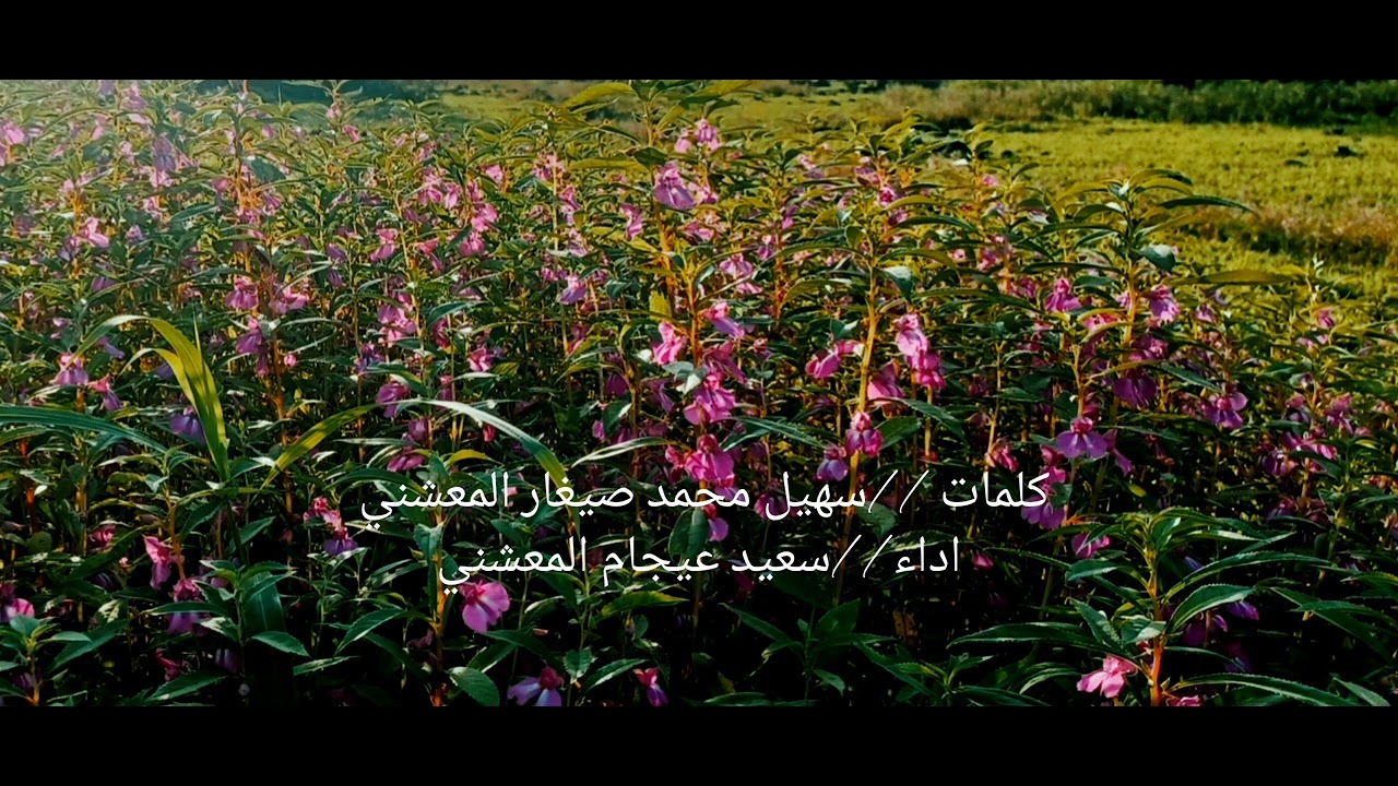 دبرارت كلمات//سهيل محمد صيغار المعشني .اداء//سعيد عيجام المعشني
