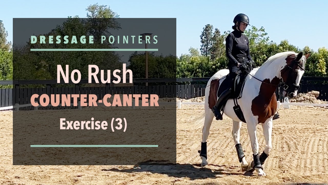 Dressage Pointers: No Rush Counter-Canter Exercise (3)