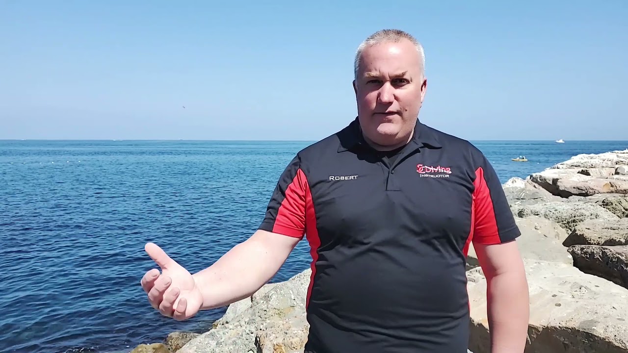 SCDiving | Catalina Casino Point Dive Report