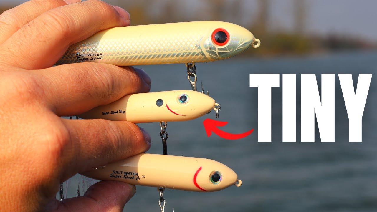 Этот новый TOPWATER станет для вас настоящим подарком! (МАЛЕНЬКИЙ, НО МОЩНЫЙ)