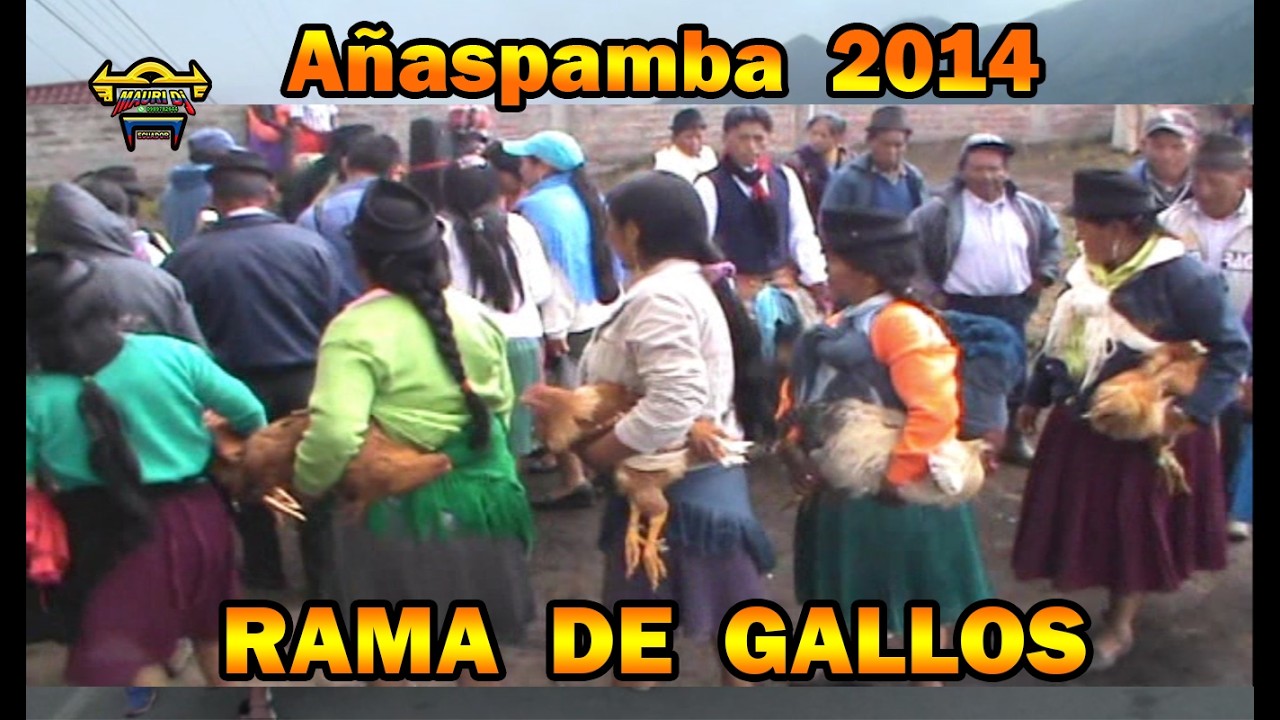 AÑASPAMBA 2014 // SAN PEDROS // MAURI EL CHICHERO