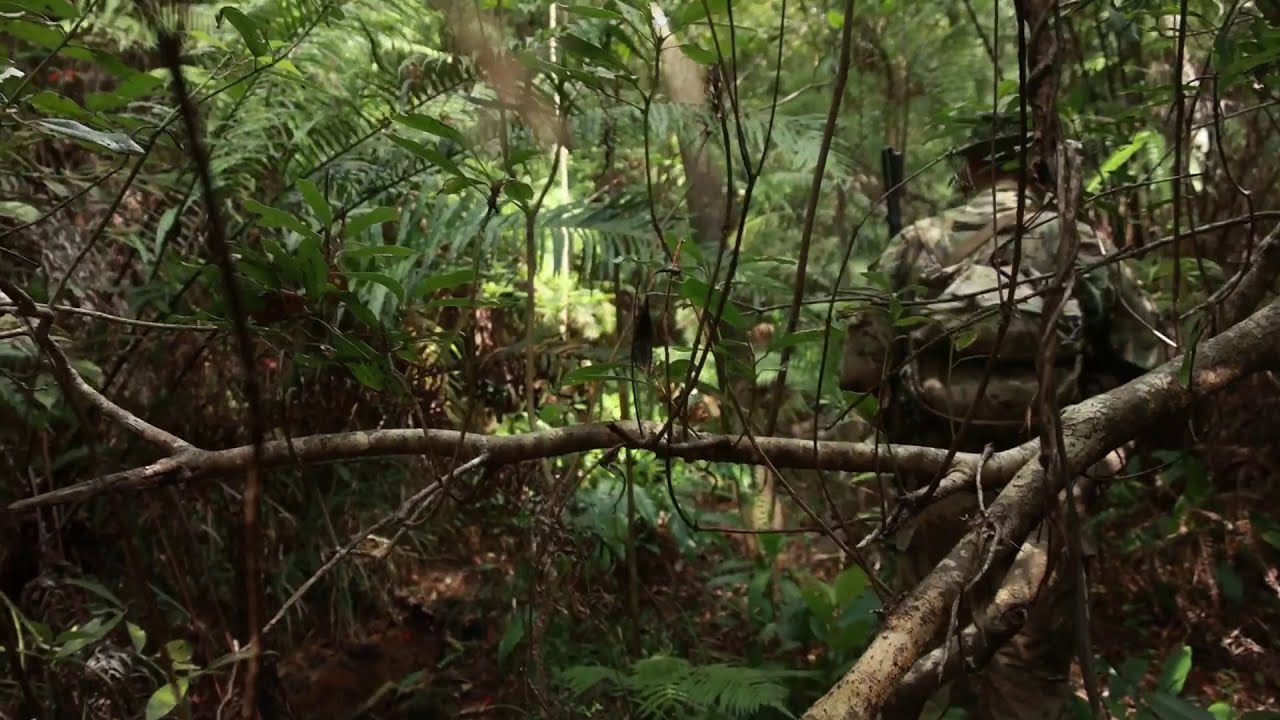 Green Beret Jungle Patrol - JWX 23