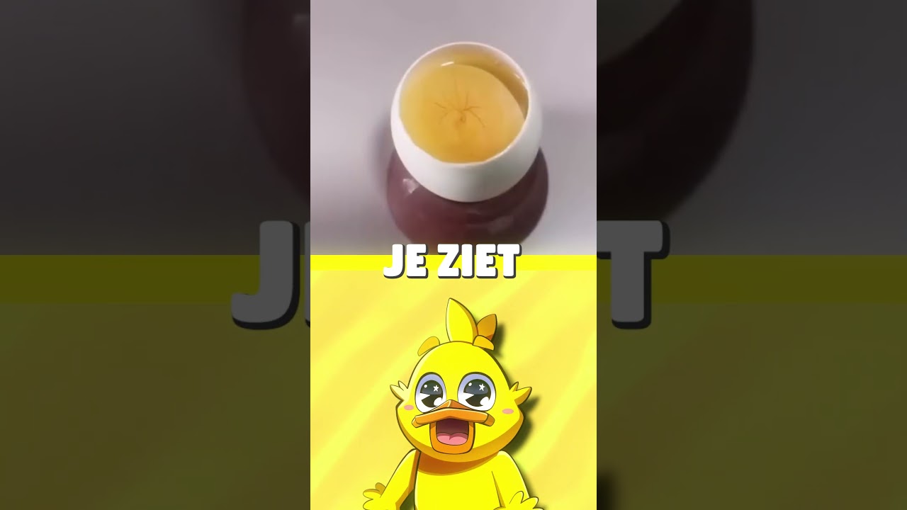 Van EI Een KUIKEN MAKEN..🥚🐣😱