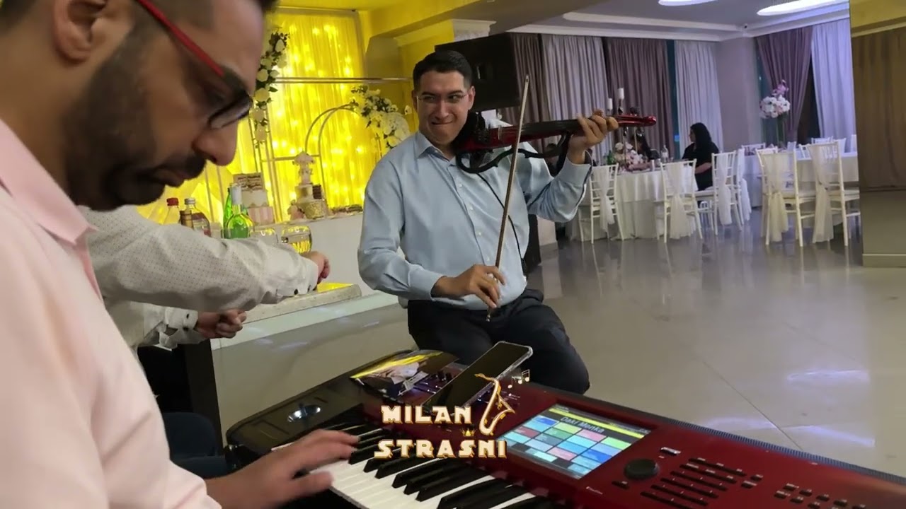 VELIKE ZVEZDE ROMSKE MUZIKE / DEJAN KOSTIC / DAKI PARIZ / SANJIKA / MOMIR NS / BOJAN GULA / DAMIR