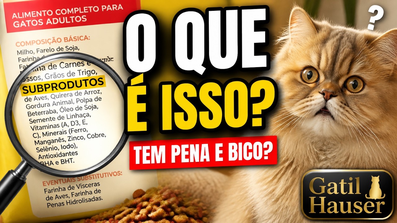 O que s&atilde;o os SUBPRODUTOS NA RA&Ccedil;&Atilde;O para gato - f&iacute;gado, carca&ccedil;a, pele, mi&uacute;dos bovino, su&iacute;no