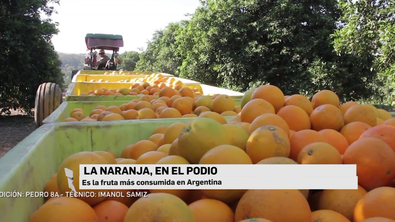 Naranja: la fruta más consumida en Argentina