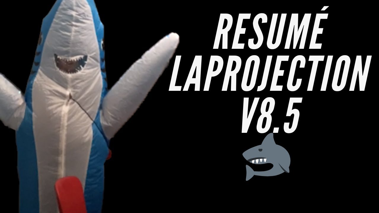 LaProjection paladium v8.5 (on rc en v9)