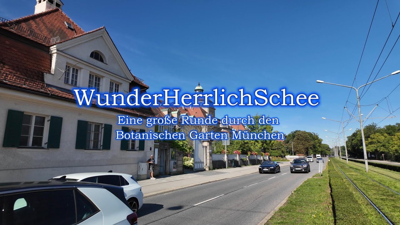 WunderHerrlichSchee ... Eine große Runde durch den Botanischen Garten München.