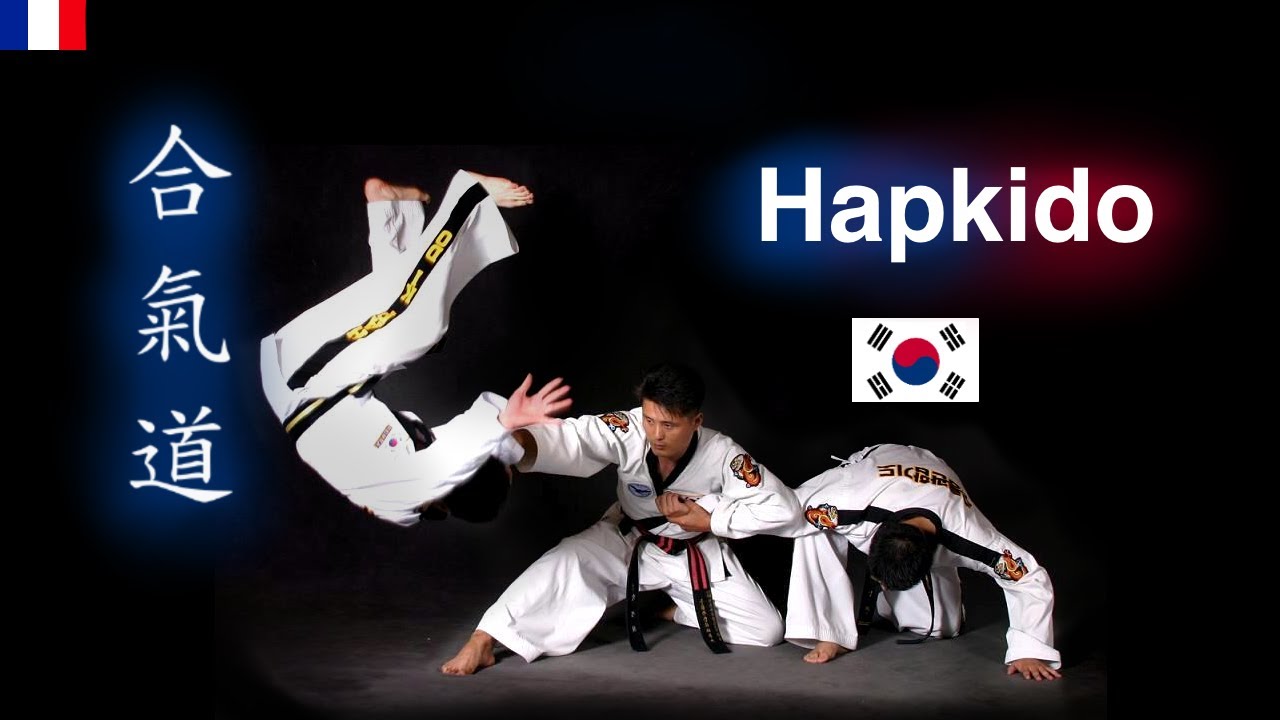 QU'EST CE QUE L' HAPKIDO ?