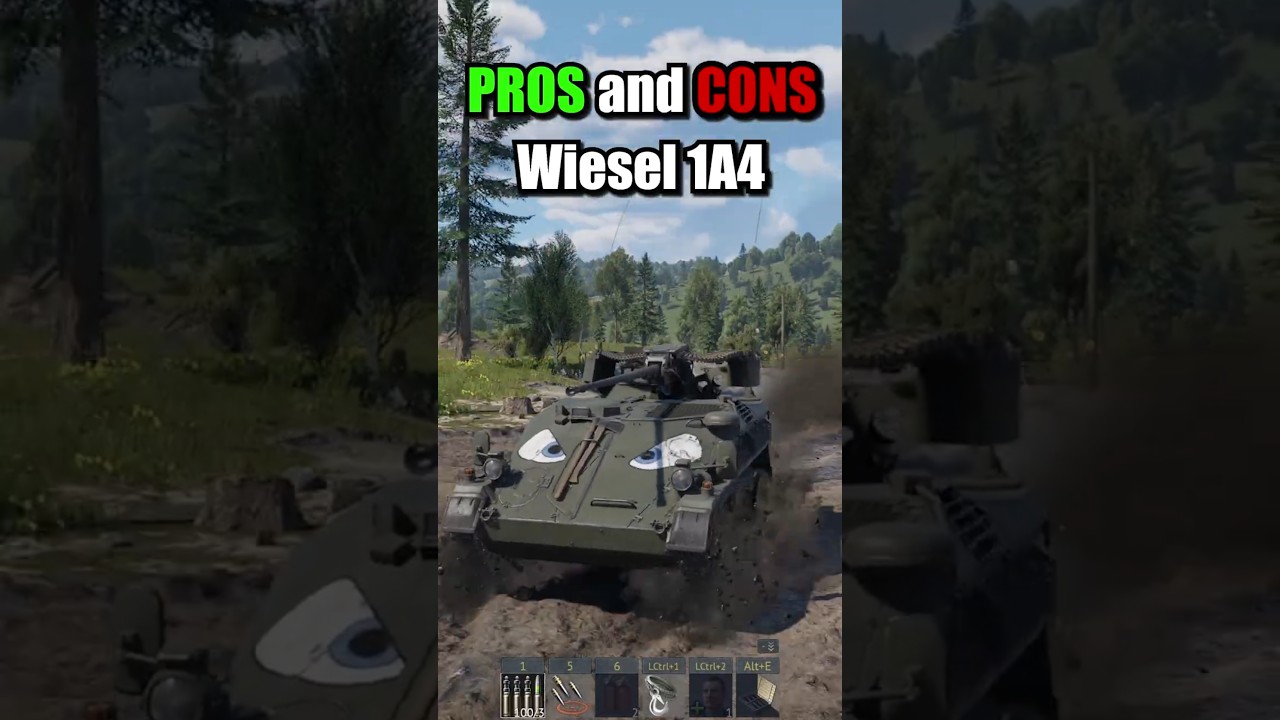 Pros and Cons of the Wiesel 1A4