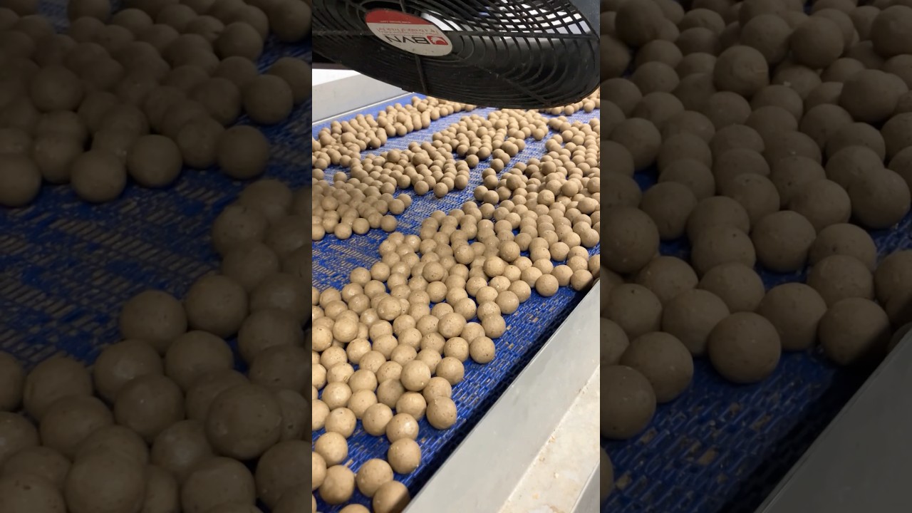Comment nous fabriquons nos bouillettes - D&eacute;couvrez comment fonctionne notre usine NASH BAIT 🦐🍋🦑