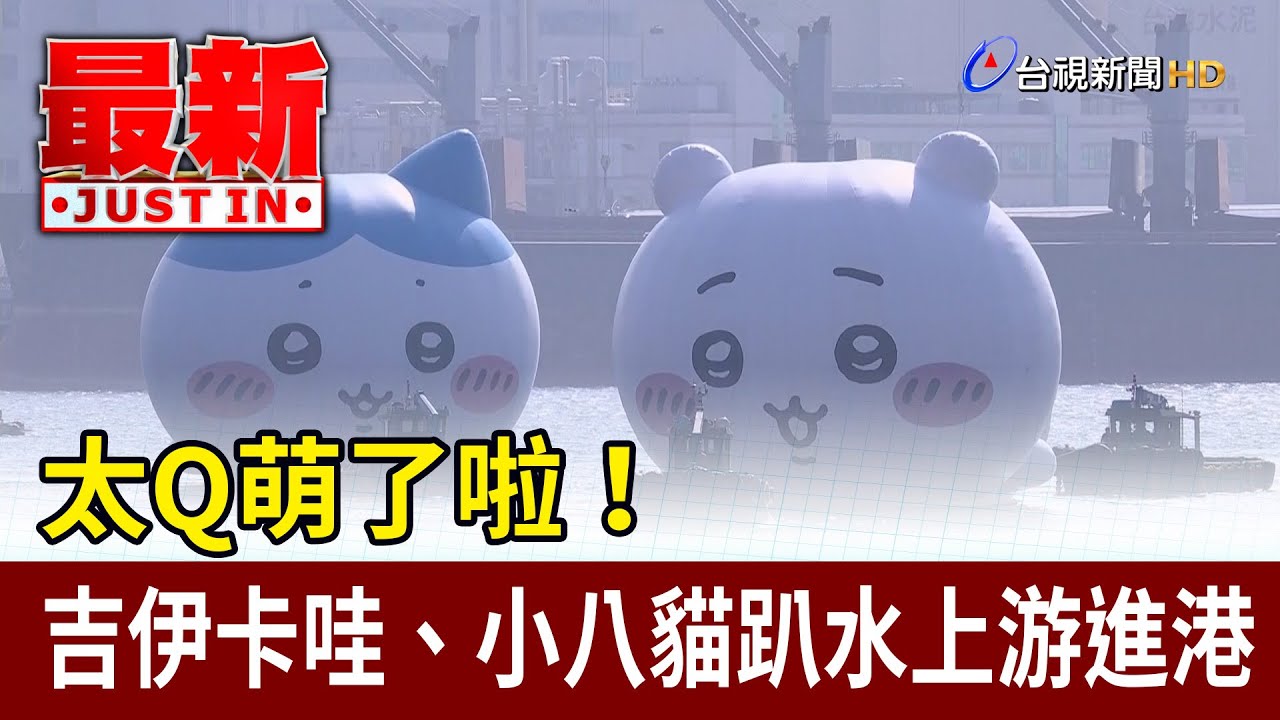太Q萌了啦！ 吉伊卡哇、小八貓趴水上游進港【最新快訊】