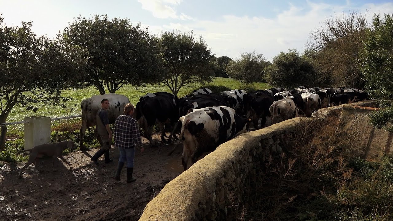 UEP! COM ANAM? [582] - FEINES FORAVILERES A LA VILA, ALCAIDÚS DE MENORCA I BETLEM ORIGINAL A MANACOR