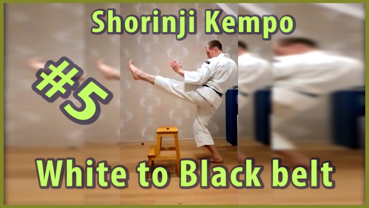 5.Shorinji Kempo training, practice,techniques. Secrets strong kicks. Keri Age,Kinteki Geri.武道少林寺拳法