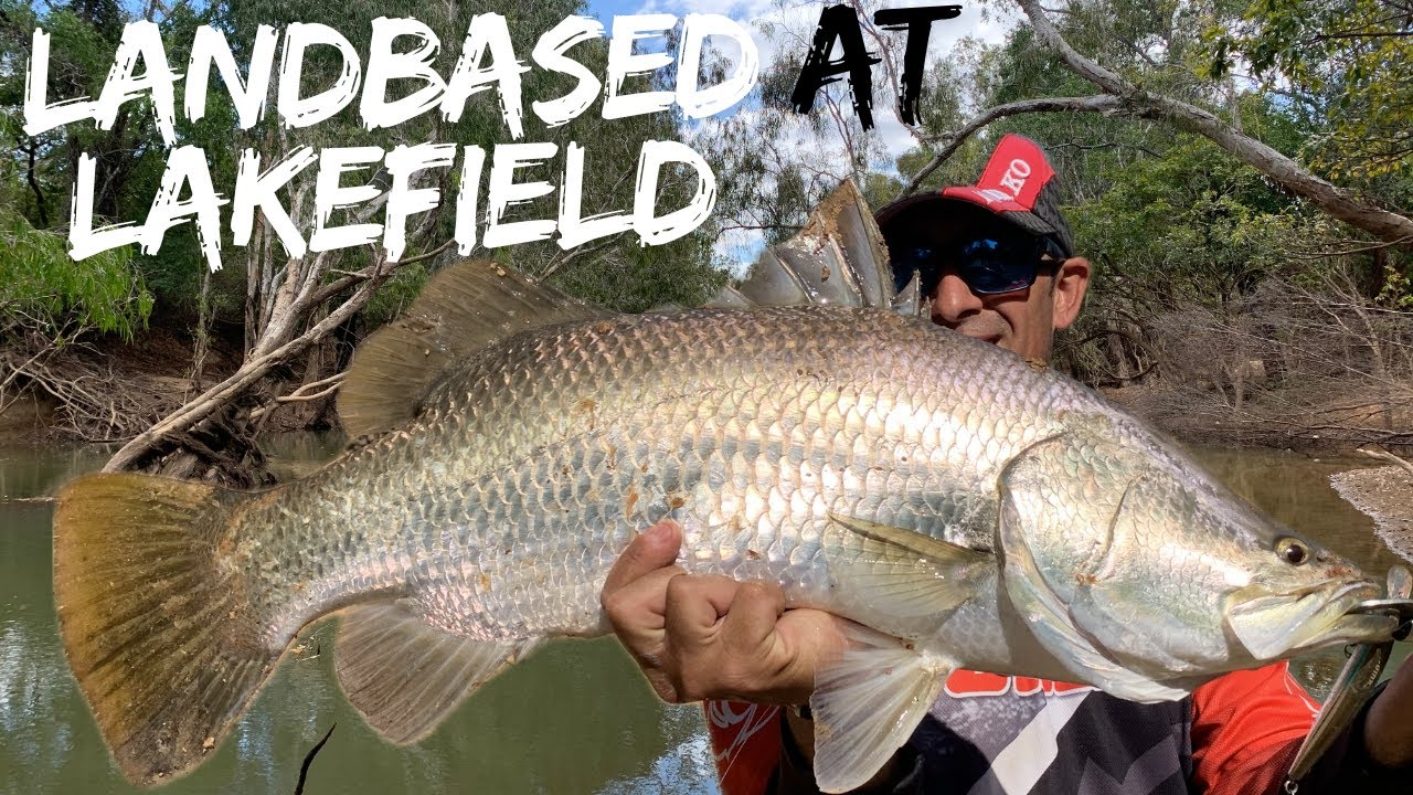 Land-based Lure Fishing Lakefield National Park for Barramundi in Winter - Cape York