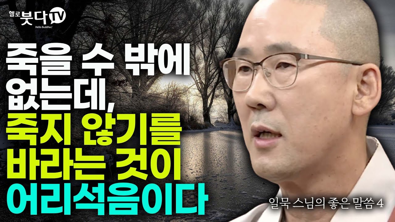 죽을 수 밖에 없는데 죽지 않기를 바라는 것이 어리석음이다 | 임종 윤회 신비한 비밀 | 일묵스님(제따와나 선원장) | 일묵스님의 생명과 죽음의 이야기 4회