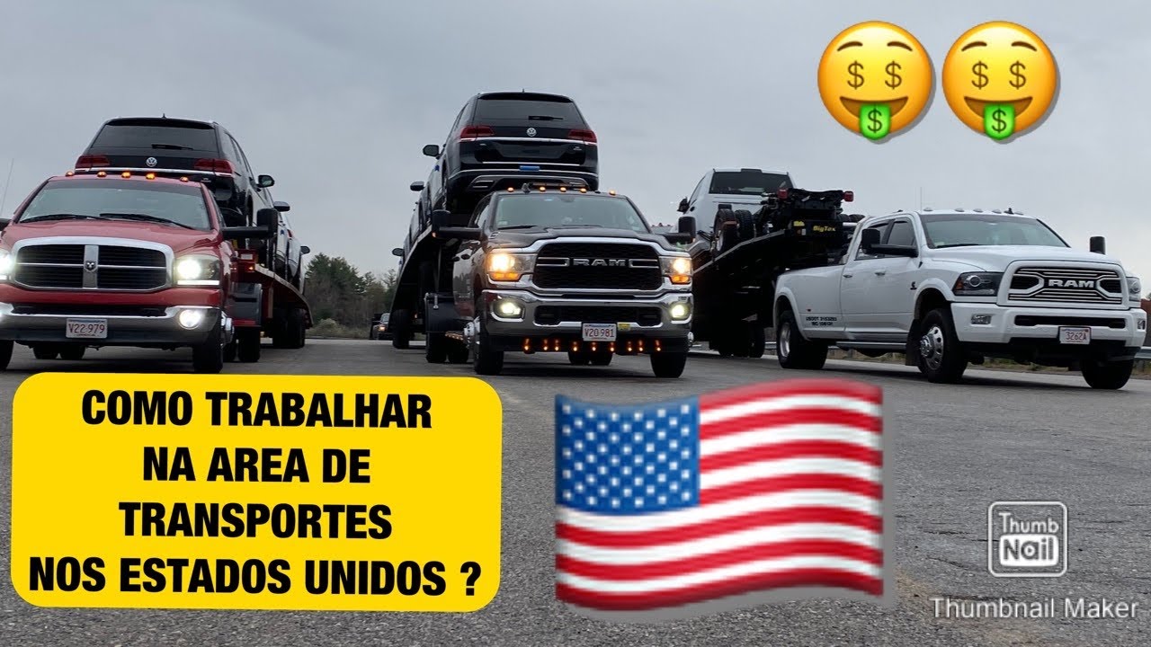 MINI CEGONHA NOS ESTADOS UNIDOS