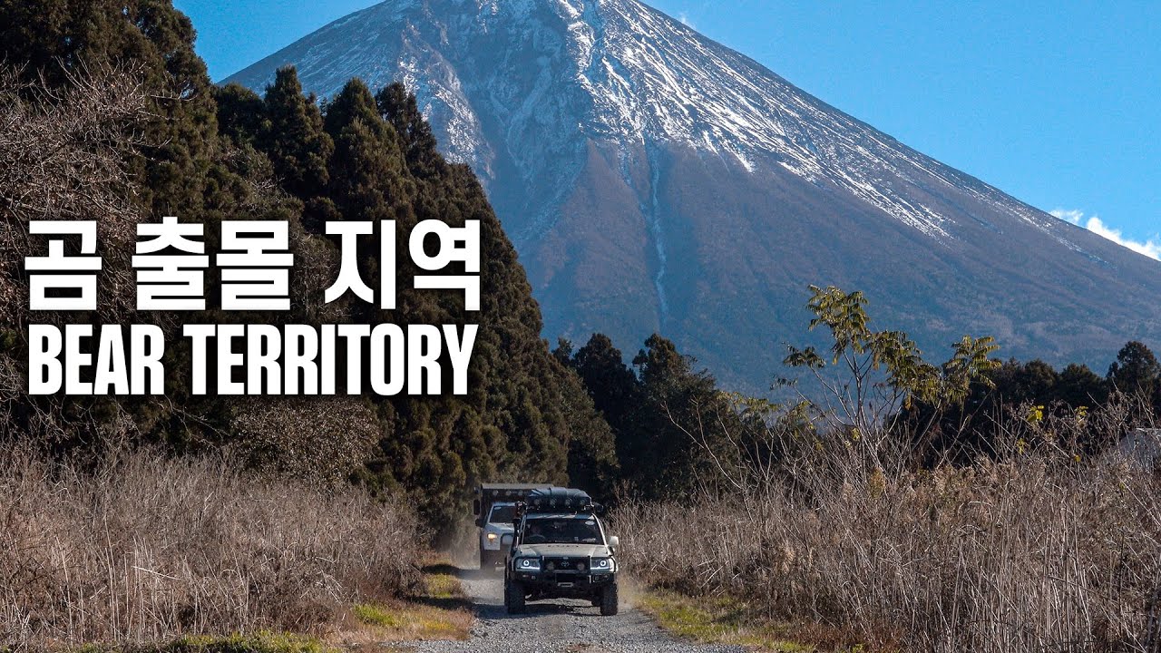 일본 여행 중 최악의 고립… 곰 출몰 지역에서 보낸 공포의 하룻밤 [일본 횡단 EP.2]
