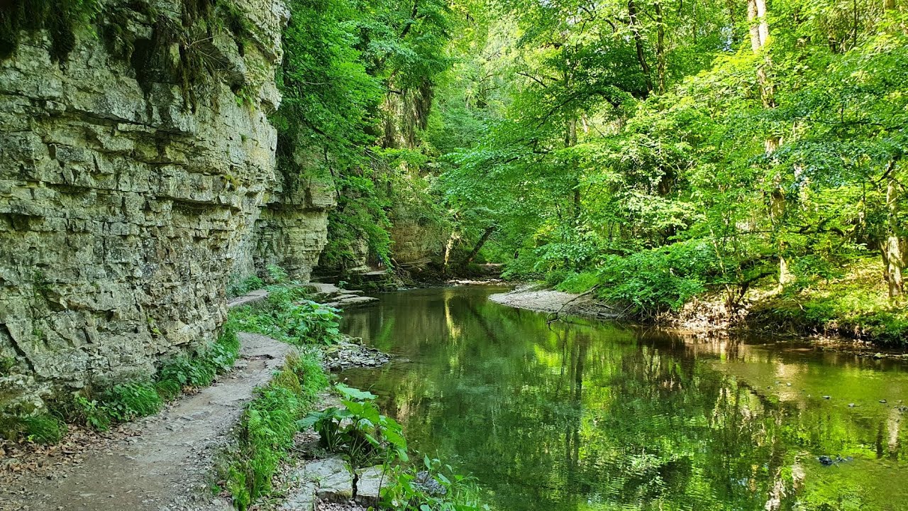 Die Wutachschlucht - ein Wanderabenteuer