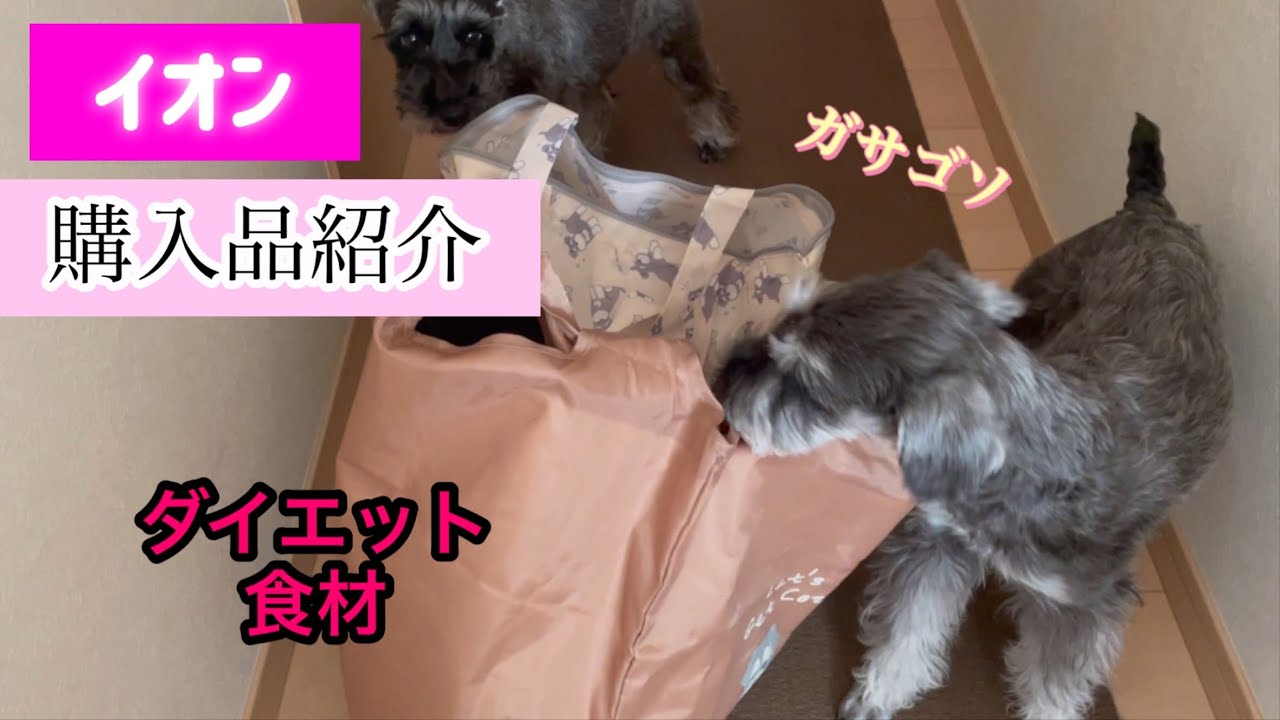 イオン購入品紹介　　ダイエット食品　ナナ夢たちがアシスタント♡
