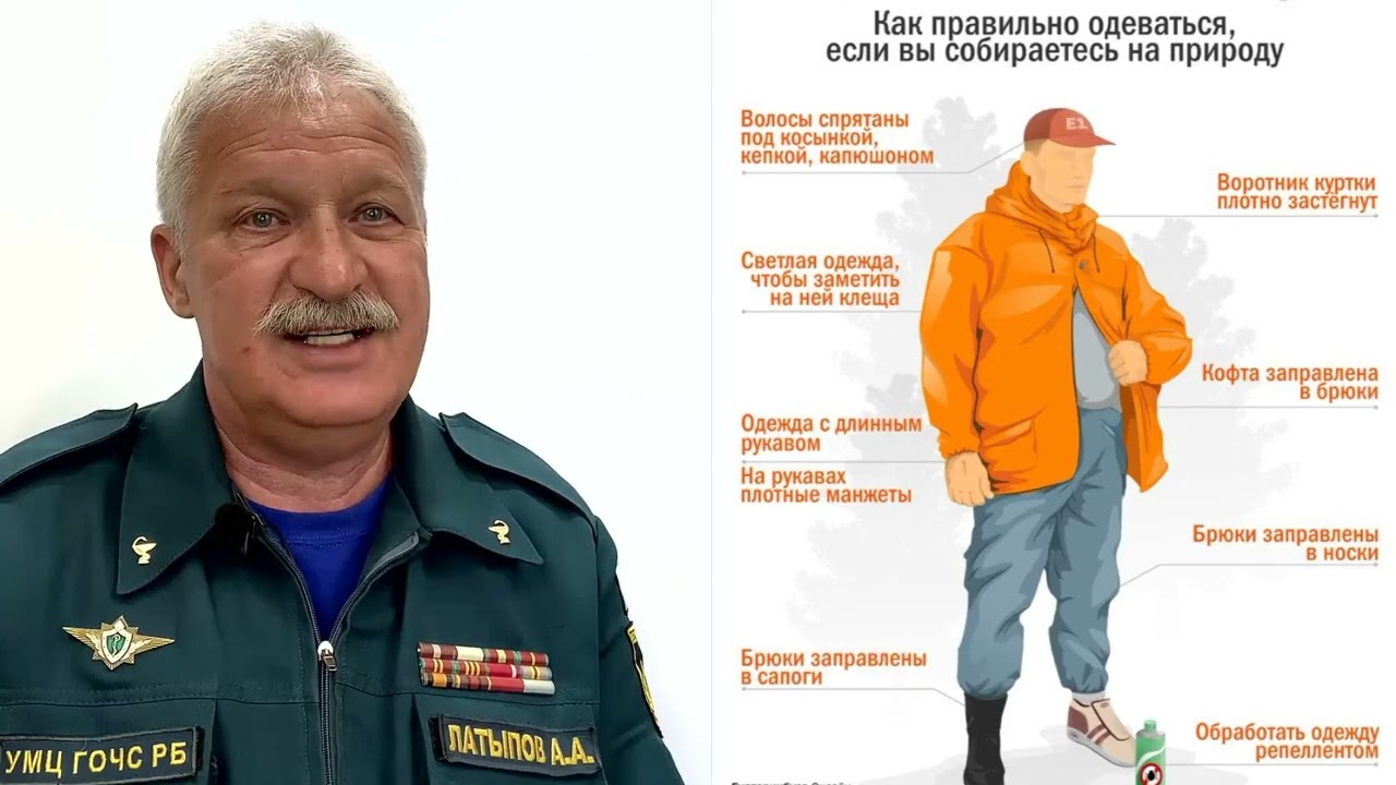 ОСТОРОЖНО КЛЕЩИ