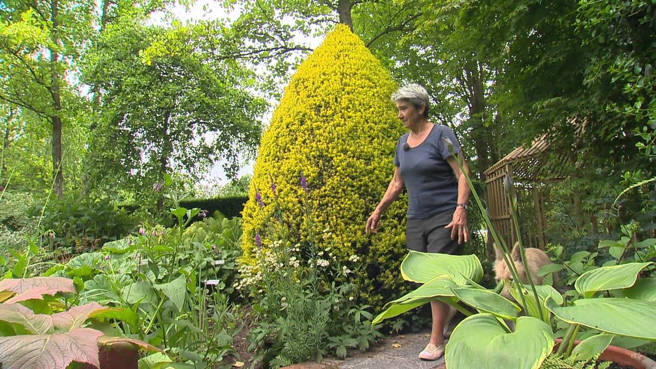 Jardin de Normandie : Jardins de Castillon