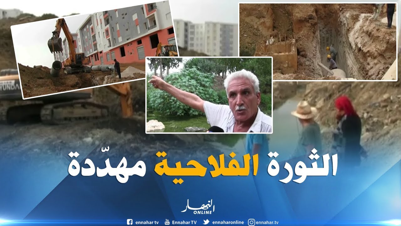 عنابة : مياه قنوات الصرف الصحي تهدد الثروة الحيوانية والنباتية ببلدية واد العنب