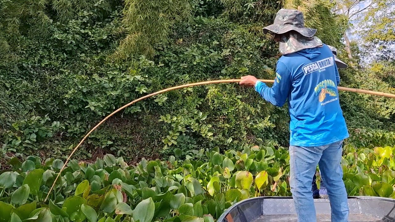 PESCARIA DE TRAÍRA COM VARA DE BAMBU/ESSA É A ISCA PRA PEGAR AS BRUTA/MELHOR ISCA PARA PEGAR TRAÍRA