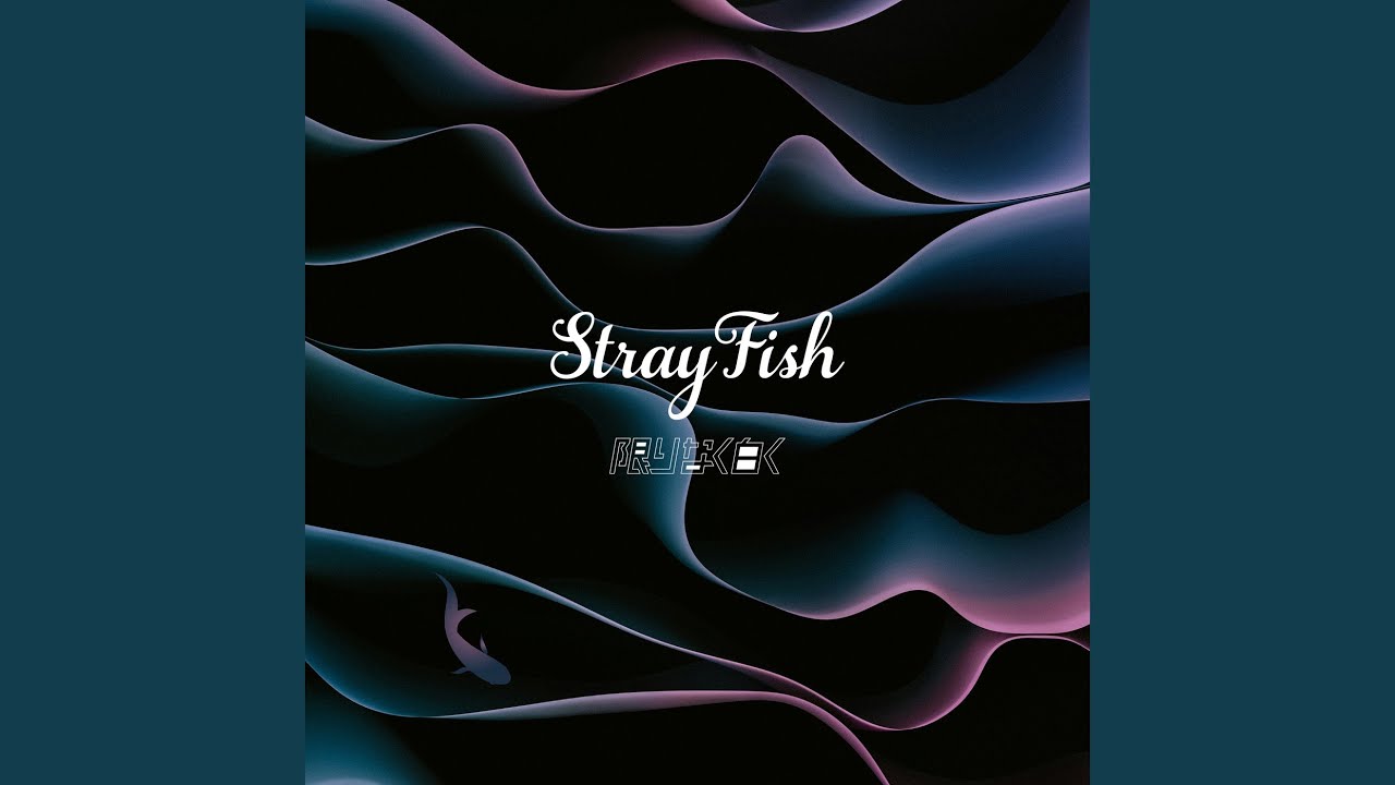 Stray Fish