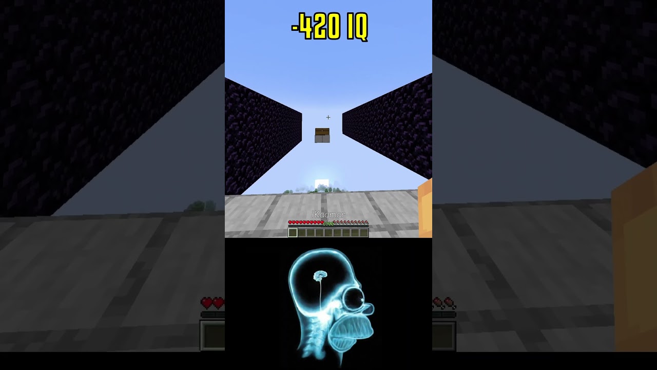 999 IQ vs 9669 IQ Minecraft World's Smallest Violin #shorts