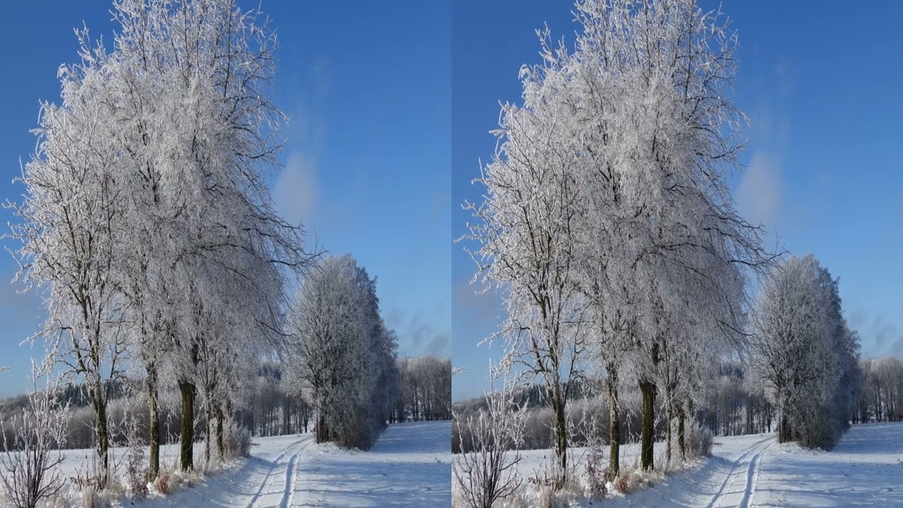 Ice Age in the Spessart Mountains - 3d Ultra 3840x2160 hsbs - part one - in parallel view