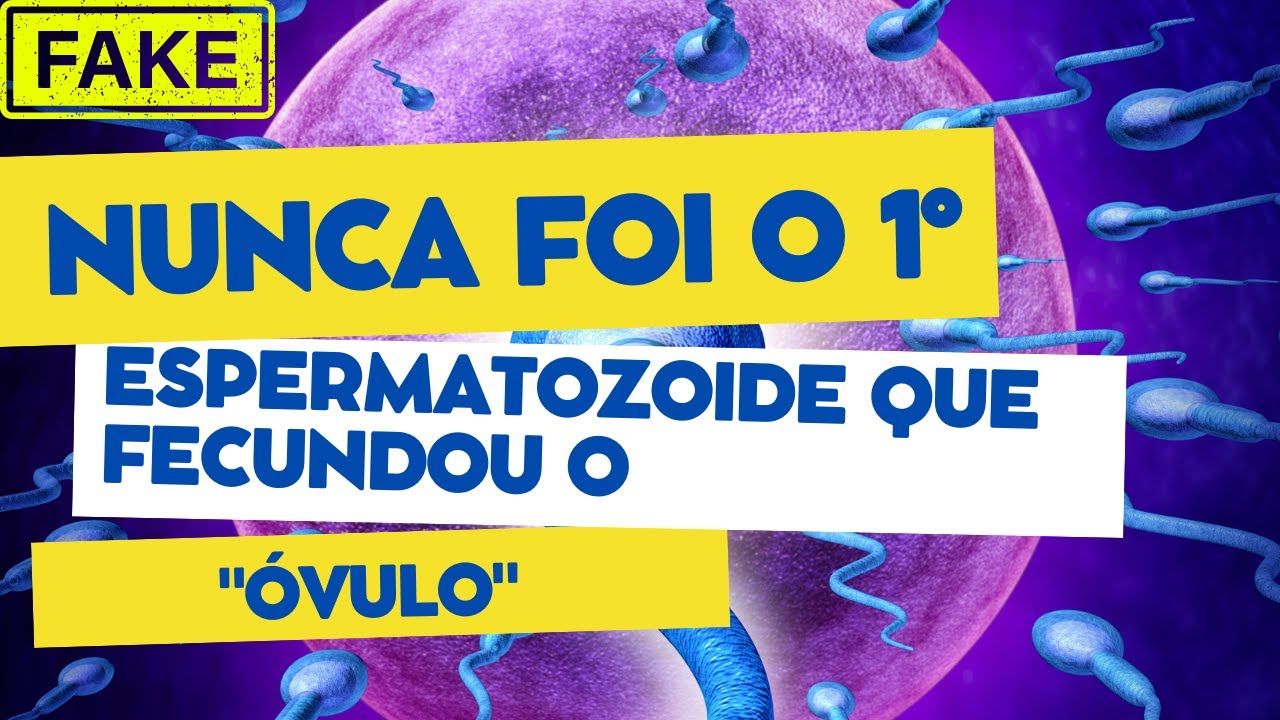 1ª semana do desenvolvimento embrionário!