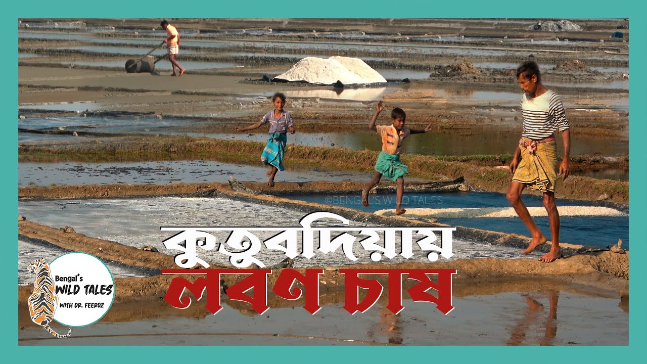 কুতুবদিয়ায় লবণ চাষ || Salt production in Kutubdia